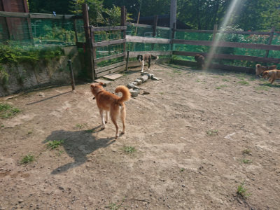 f:id:roukenhome-ann:20190801215031j:plain