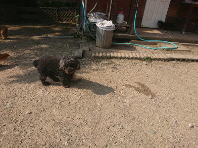 f:id:roukenhome-ann:20190801215050j:plain