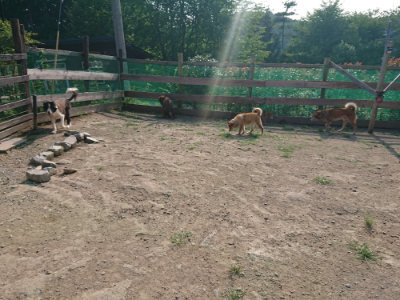 f:id:roukenhome-ann:20190801215106j:plain