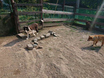 f:id:roukenhome-ann:20190801215155j:plain