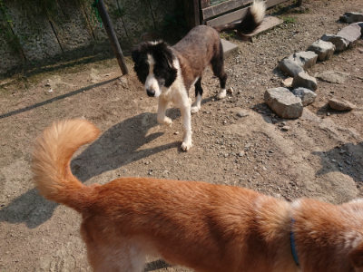 f:id:roukenhome-ann:20190801215205j:plain