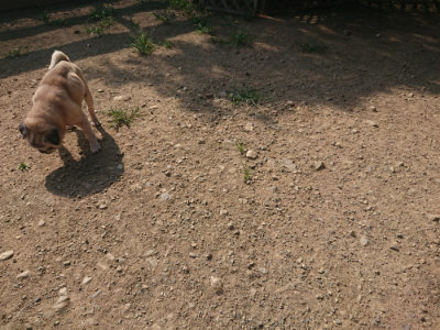 f:id:roukenhome-ann:20190801215235j:plain