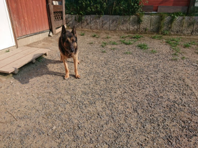 f:id:roukenhome-ann:20190801215308j:plain