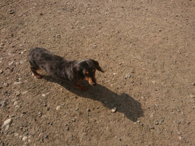 f:id:roukenhome-ann:20190801215414j:plain