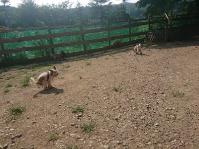 f:id:roukenhome-ann:20190801215423j:plain