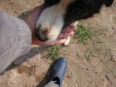 f:id:roukenhome-ann:20190801215510j:plain