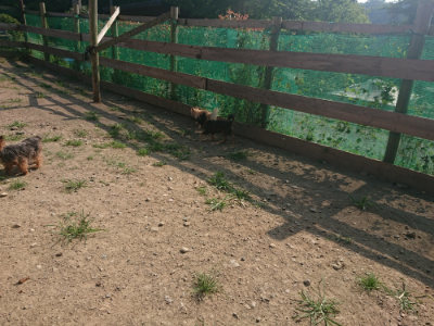 f:id:roukenhome-ann:20190801215542j:plain