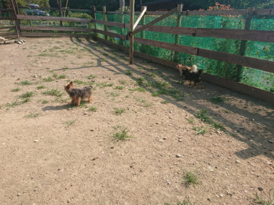 f:id:roukenhome-ann:20190801215552j:plain