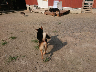 f:id:roukenhome-ann:20190801215600j:plain