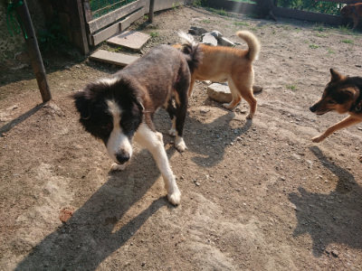 f:id:roukenhome-ann:20190802051706j:plain