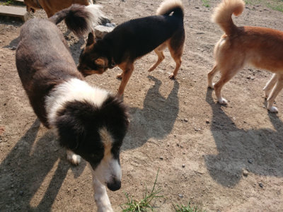 f:id:roukenhome-ann:20190802051733j:plain