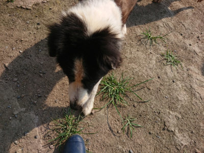 f:id:roukenhome-ann:20190802051748j:plain