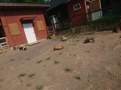 f:id:roukenhome-ann:20190802052027j:plain