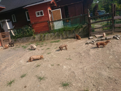 f:id:roukenhome-ann:20190802052039j:plain
