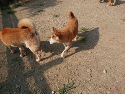 f:id:roukenhome-ann:20190802052058j:plain