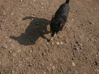 f:id:roukenhome-ann:20190802052142j:plain