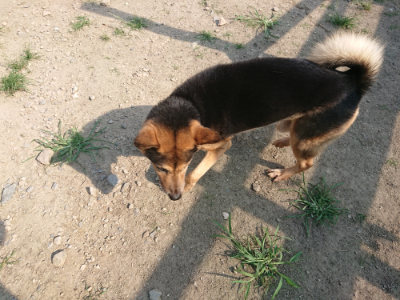 f:id:roukenhome-ann:20190802052330j:plain