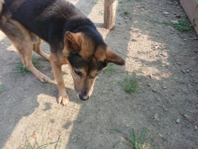 f:id:roukenhome-ann:20190802052338j:plain