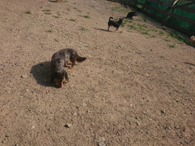 f:id:roukenhome-ann:20190802052644j:plain