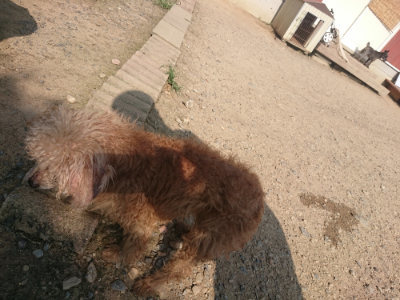 f:id:roukenhome-ann:20190802052844j:plain