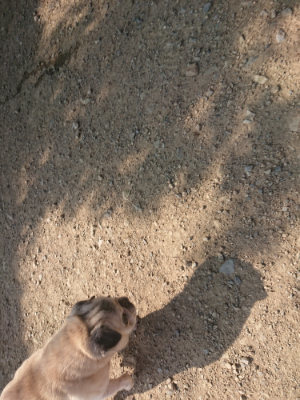 f:id:roukenhome-ann:20190802052906j:plain