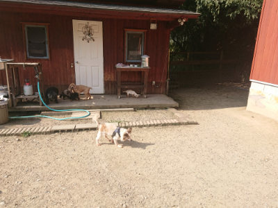 f:id:roukenhome-ann:20190802052928j:plain