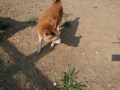 f:id:roukenhome-ann:20190802052933j:plain