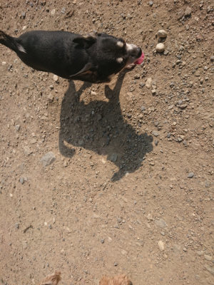 f:id:roukenhome-ann:20190802052952j:plain