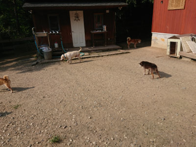 f:id:roukenhome-ann:20190802053030j:plain