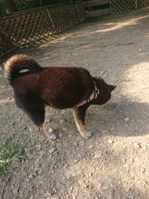 f:id:roukenhome-ann:20190802053042j:plain