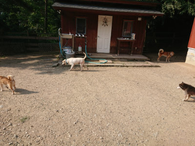 f:id:roukenhome-ann:20190802053047j:plain