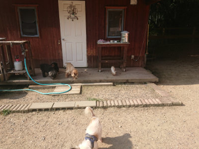 f:id:roukenhome-ann:20190802053056j:plain