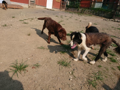 f:id:roukenhome-ann:20190802053101j:plain
