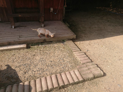 f:id:roukenhome-ann:20190802053208j:plain