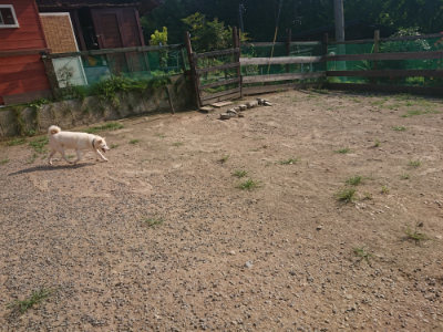 f:id:roukenhome-ann:20190802053222j:plain