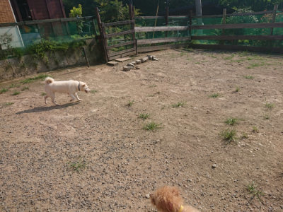 f:id:roukenhome-ann:20190802053227j:plain
