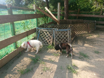 f:id:roukenhome-ann:20190802053312j:plain
