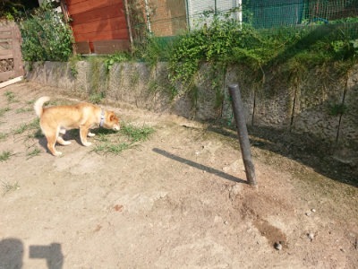 f:id:roukenhome-ann:20190802053317j:plain