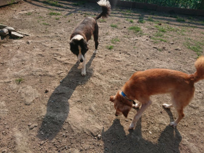 f:id:roukenhome-ann:20190802053452j:plain
