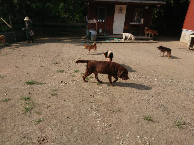 f:id:roukenhome-ann:20190802053512j:plain