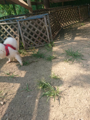 f:id:roukenhome-ann:20190802053529j:plain