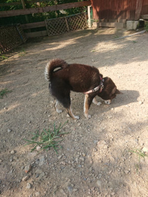 f:id:roukenhome-ann:20190802053535j:plain