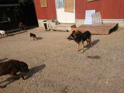 f:id:roukenhome-ann:20190802053541j:plain