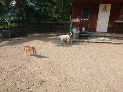 f:id:roukenhome-ann:20190802070920j:plain