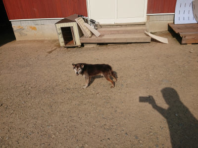 f:id:roukenhome-ann:20190802070925j:plain