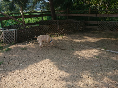 f:id:roukenhome-ann:20190802070941j:plain
