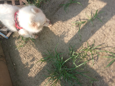 f:id:roukenhome-ann:20190802071000j:plain