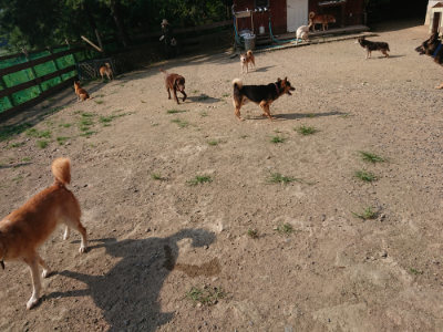 f:id:roukenhome-ann:20190802071007j:plain