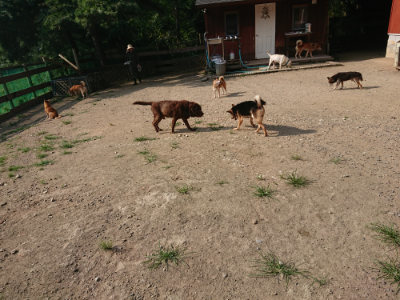 f:id:roukenhome-ann:20190802071016j:plain