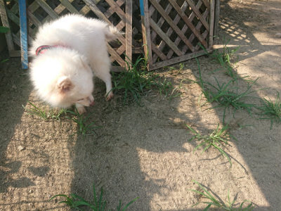 f:id:roukenhome-ann:20190802071035j:plain